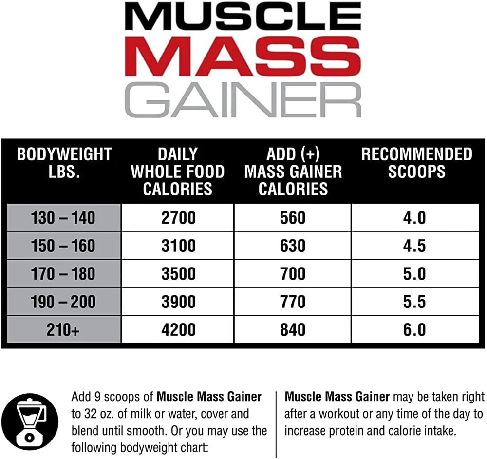 Labrada muscle mass gainer 6 lbs 2.7 kg chocolate