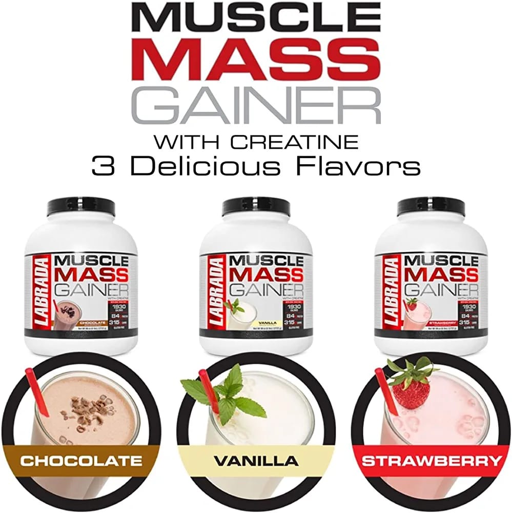 Labrada muscle mass gainer 6 lbs 2.7 kg chocolate